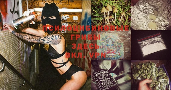 амфетамин Ельня